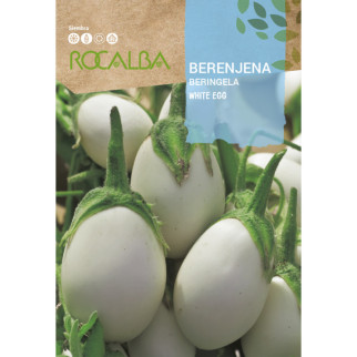 BERENJENA WHITE EGG