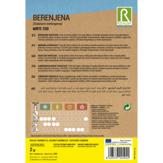 BERENJENA WHITE EGG 2