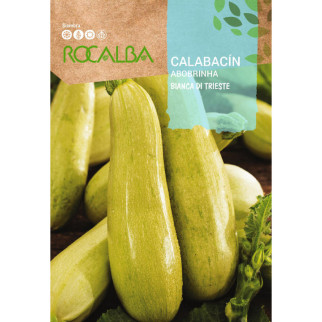 CALABACIN BLANCO
