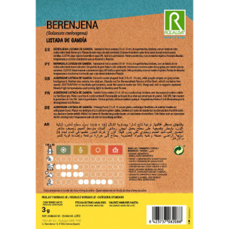 BERENJENA LISTADA DE GANDIA 2