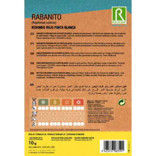 RABANITO REDONDO PUNTA BLANCA 2