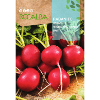 RABANITO REDONDO ROJO