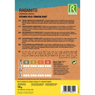 RABANITO REDONDO ROJO 2