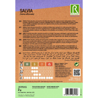 SALVIA 2
