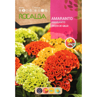 AMARANTO