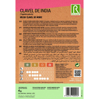 CLAVEL DE LA INDIA ( Tagete) 2