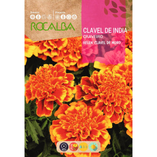 CLAVEL DE LA INDIA ( Tagete)
