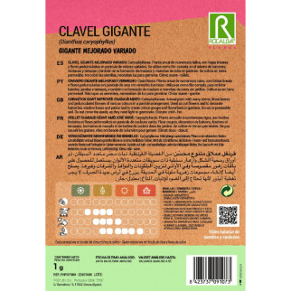 CLAVEL GIGANTE 2