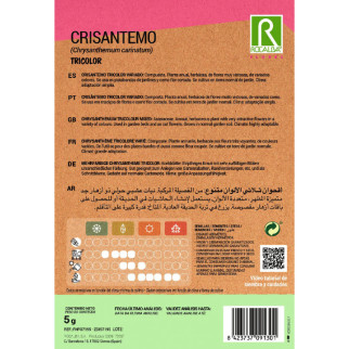 CRISANTEMO 2