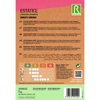 ESTATICE SINUTA AMARILLO 2