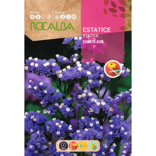 ESTATICE SINUTA MORADO