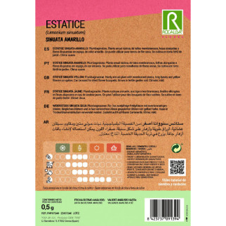 ESTATICE SINUTA MORADO 2