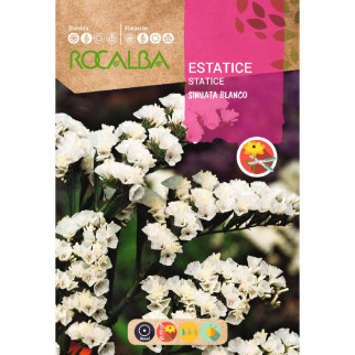 ESTATICE SINUTA BLANCO