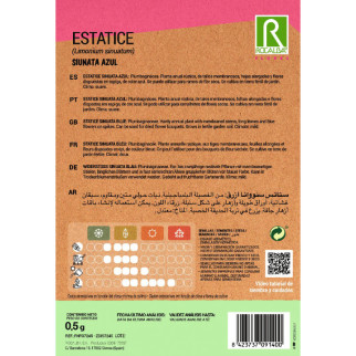 ESTATICE SINUTA BLANCO 2