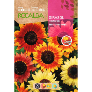 GIRASOL