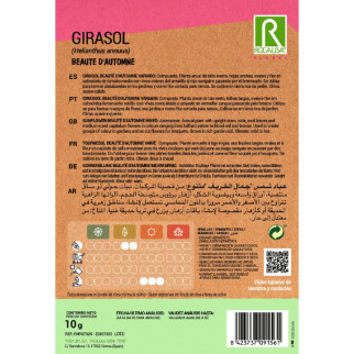 GIRASOL 2