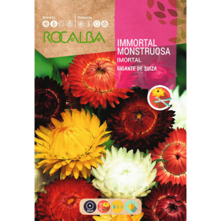 FLOR DE PAPEL