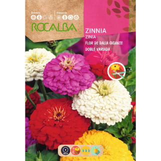 ZINIA