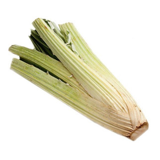 Cardo