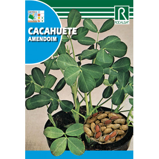 Cacahuete