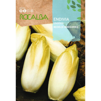 ENDIVIA