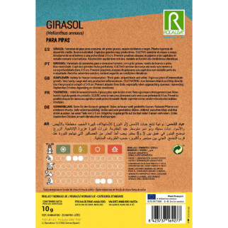 GIRASOL PIPAS 2
