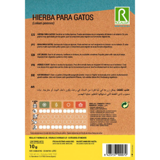 HIERBA PARA GATOS 2
