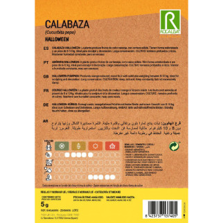 CALABAZA HALLOOWEEN 2