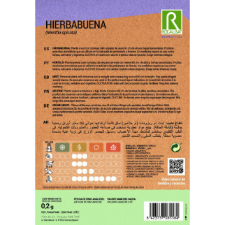 HIERBABUENA 2