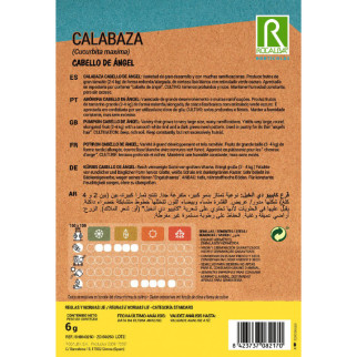 CALABAZA CABELLO DE ANGEL 2