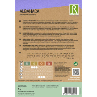 ALBAHACA 2