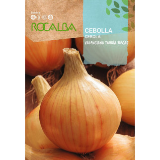 CEBOLLA RECA