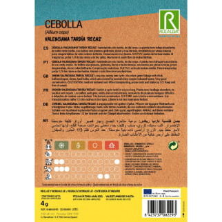 CEBOLLA RECA 2