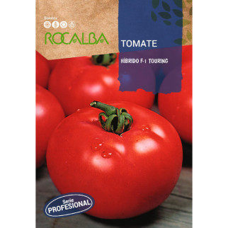 TOMATE HIBRIDO
