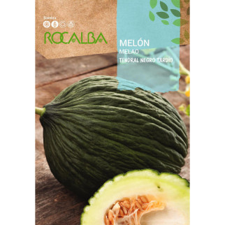MELON TENDRAL