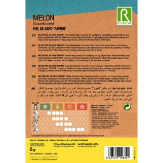 MELON PIEL DE SAPO 2