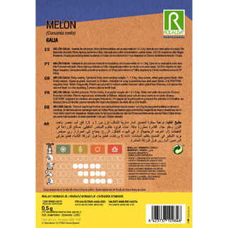 MELON GALIA 2