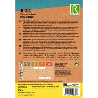 JUDIA VERDE HELDA 2