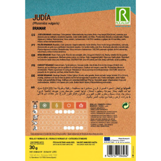 JUDIA VERDE BRAIMAR 2