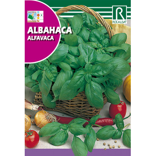 Albahaca