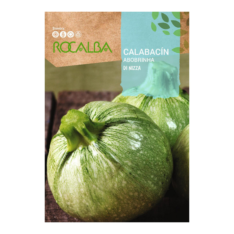 CALABACIN REDONDO NIZA