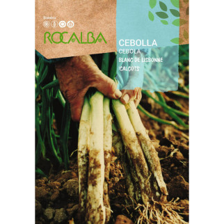 CEBOLLA CALSOTS