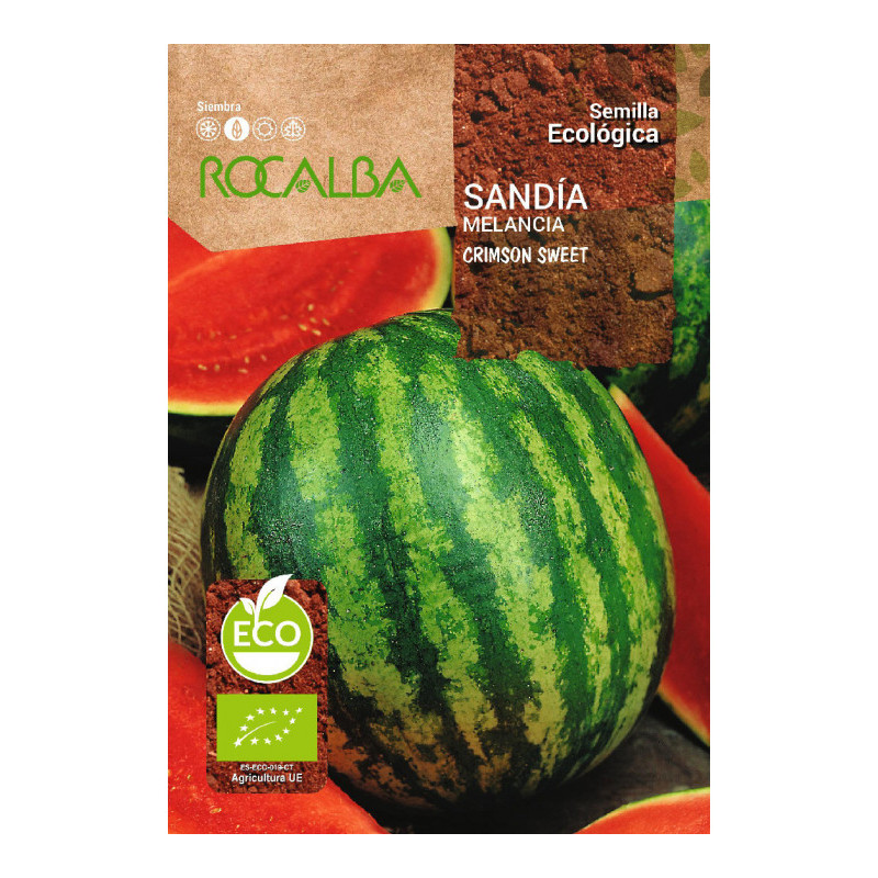 SANDIA RAYADA CRIMSON SWEET
