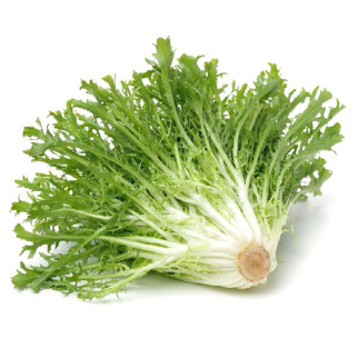 Escarola