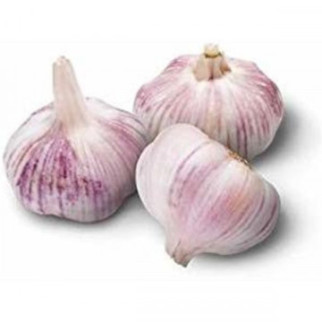 Ajo Rojo De Siembra 1KG