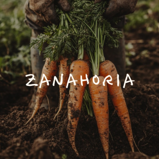 Zanahoria