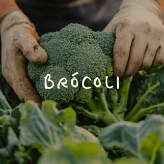 Brocoli
