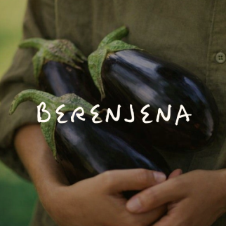 Berenjena
