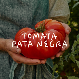 Tomata Pata Negra