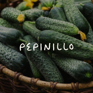 Pepinillo 2